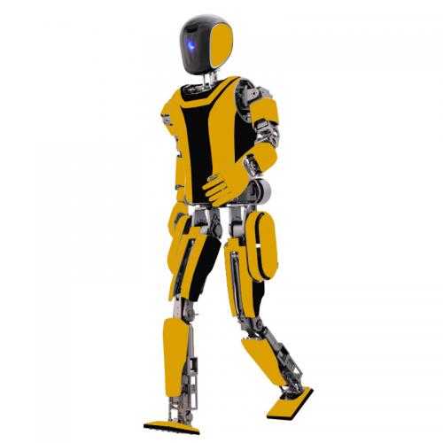 Humanoid Robot 1